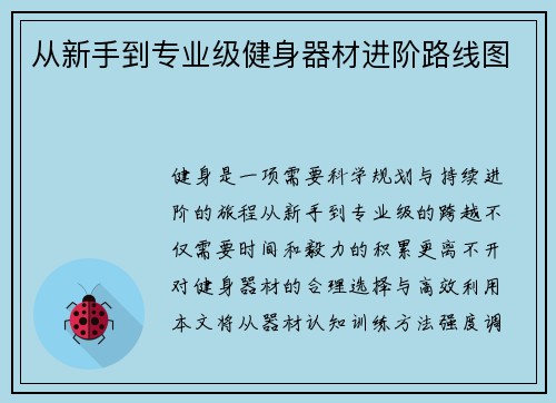 从新手到专业级健身器材进阶路线图