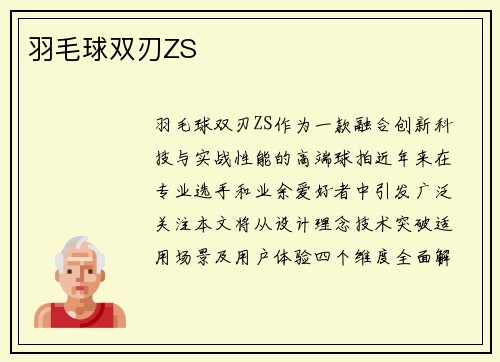 羽毛球双刃ZS